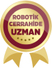 robotik-badge.png